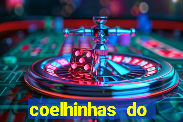 coelhinhas do brasil recife